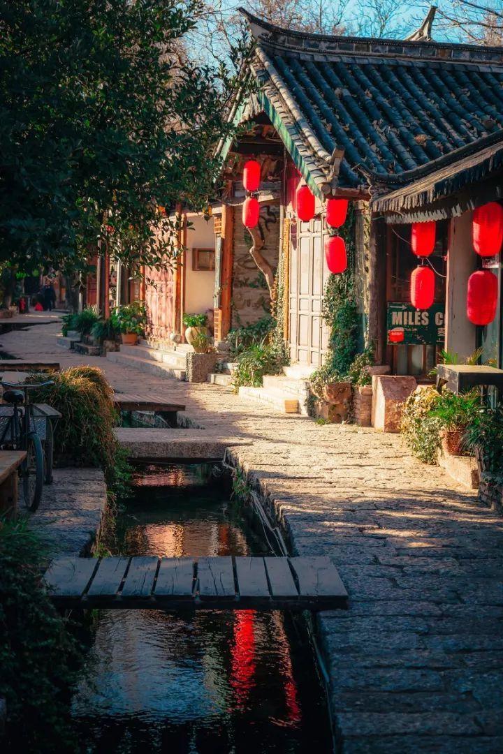 “煮饺子中途要不要加凉水”引热议,你家煮饺子都有哪些固定操作?